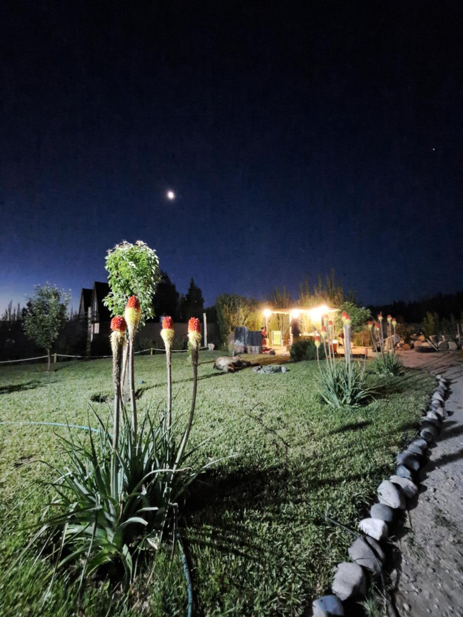 La Cascaruda Deptos Apartment Перито Морено Стая снимка