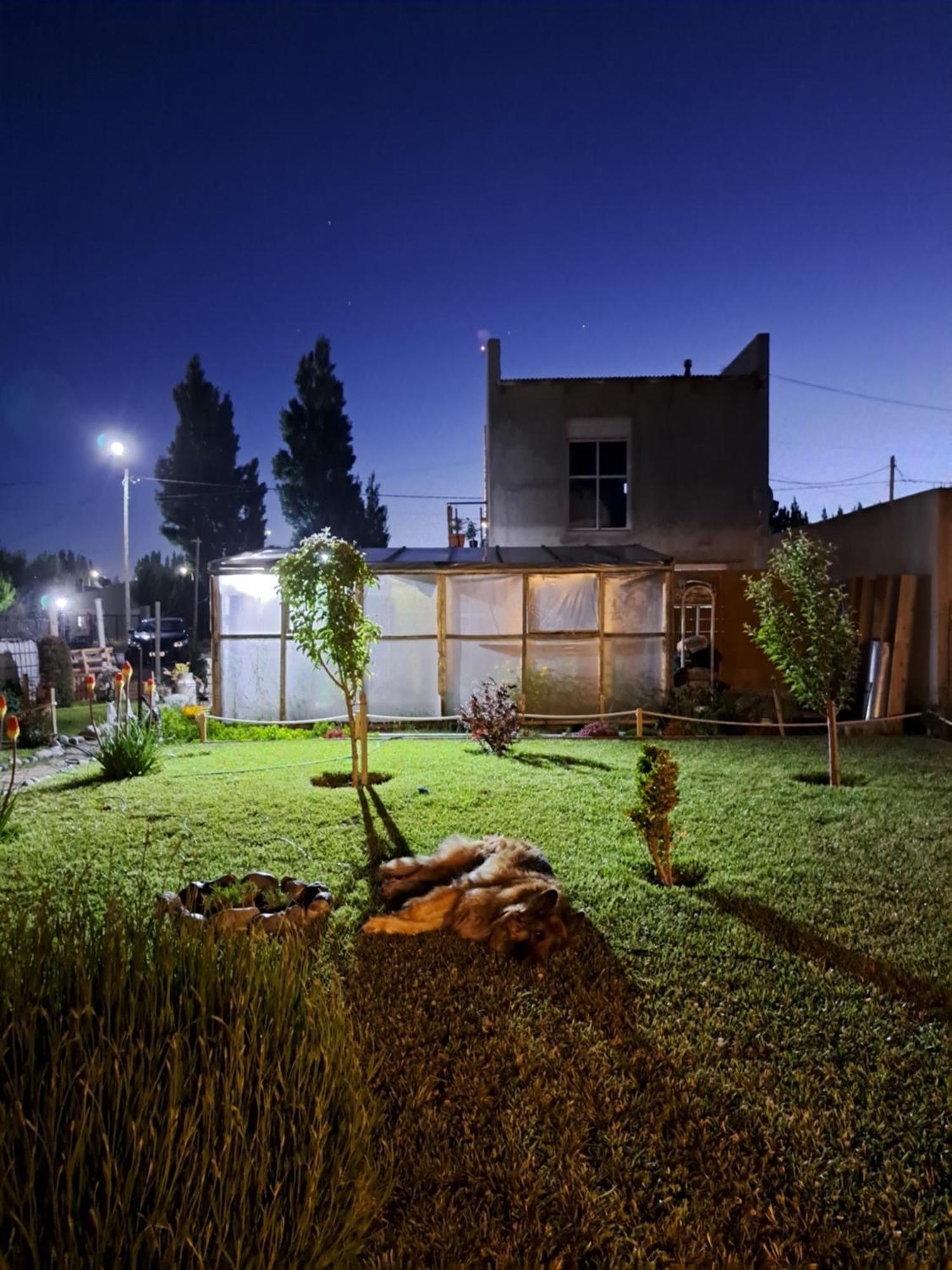 La Cascaruda Deptos Apartment Перито Морено Стая снимка